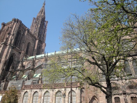 The cathedral in Freiburg was easily the biggest church I've ever seen... crazy.